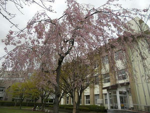 DSCN3246.jpg