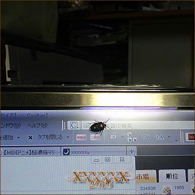 20100202-1.jpg