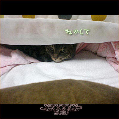 20100215-5.jpg