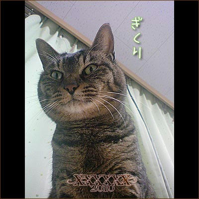 20100224-1.jpg