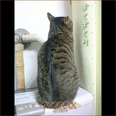 20100224-2.jpg