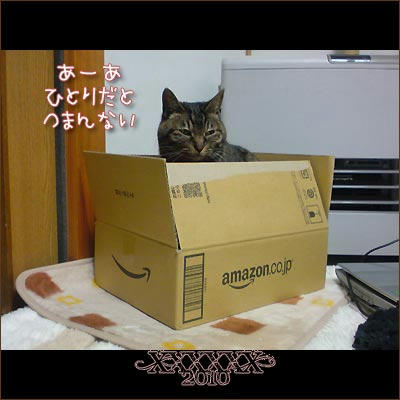 20100401-2.jpg