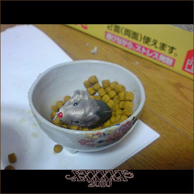 20100407-3.jpg