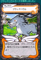 10_05_28_AO　初カードｷﾀ━━━━(*ﾟ∀ﾟ*)━━━━!!