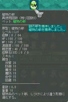 10_08_04_AO　植物の卵　なんと！ゲット！！