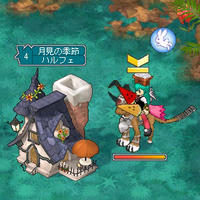 10_09_24_AO　ハルフェのハウス　外観