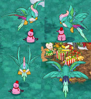 2010_12_26_AO 新しいペット　極彩鳥グラシア