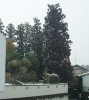 2012.02.29(wed) 雪景色　その１