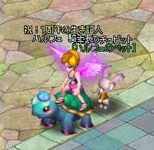 20112_08_29_rakkame3.JPG