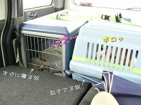 いい根性してるよ…