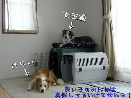 実際は、きいなの方が上位だって事は、みいりもわきまえてますよ～
