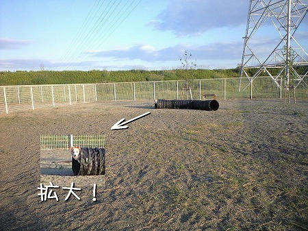 これなら見える？