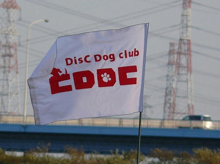 CDDCの旗だよ♪