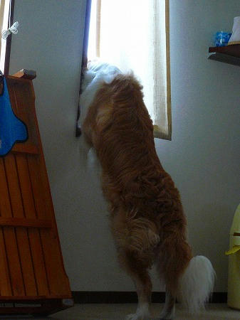 何が見えるんですかねぇ…