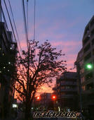 7d947f40.jpg