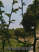 26d1e4a8.jpg