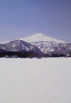 201003121005000.jpg