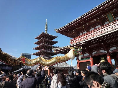 P1010800.jpg