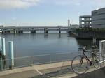 CIMG0962_r1_c1.jpg