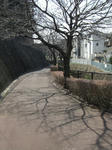 CIMG0976.JPG