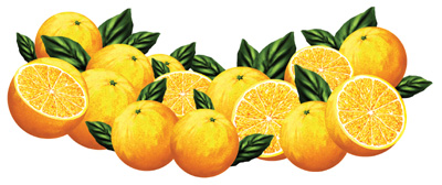 気力疲れでここまで