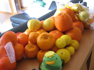 買ってきたみかん