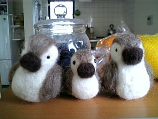 カルガモらしいよ