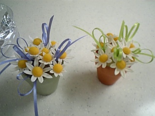 右がウチ作左が見本