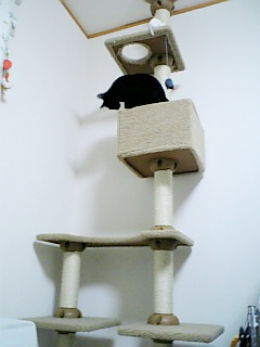 タワーオブテラー