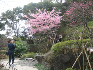 そしてバシバシ撮るウチ