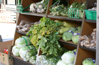 野菜投げ売り価格