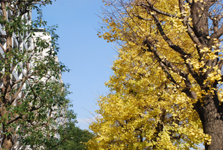 季節の移り変わり