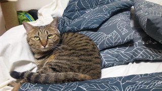 やっと出てきた