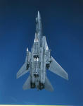 Ｆ１４　１１