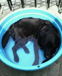 200707291105000.jpg