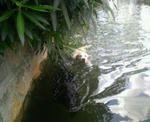 200708110921001.jpg