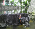 200708110950000.jpg