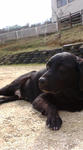 20080308105615.jpg