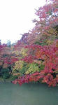 20081124153941.jpg