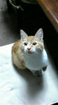 20081215173339.jpg