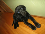 2009.7.9.4.jpg
