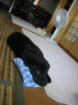 2009.7.19.2.jpg