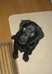 2009.7.30.nachi1.jpg