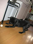 2009.7.30.nachi2.jpg