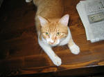 2009.7.30.santa.jpg