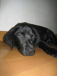 2009.7.31.nachi.jpg