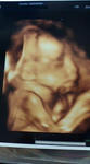 baby-6m.jpg