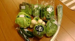 20100419181507.jpg