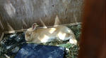 20100505122751.jpg