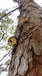 20100506101228.jpg